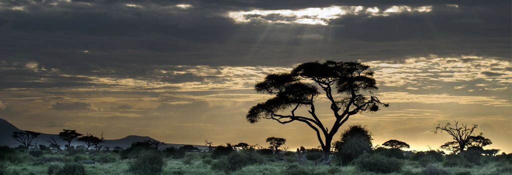 East Africa sunset landscape